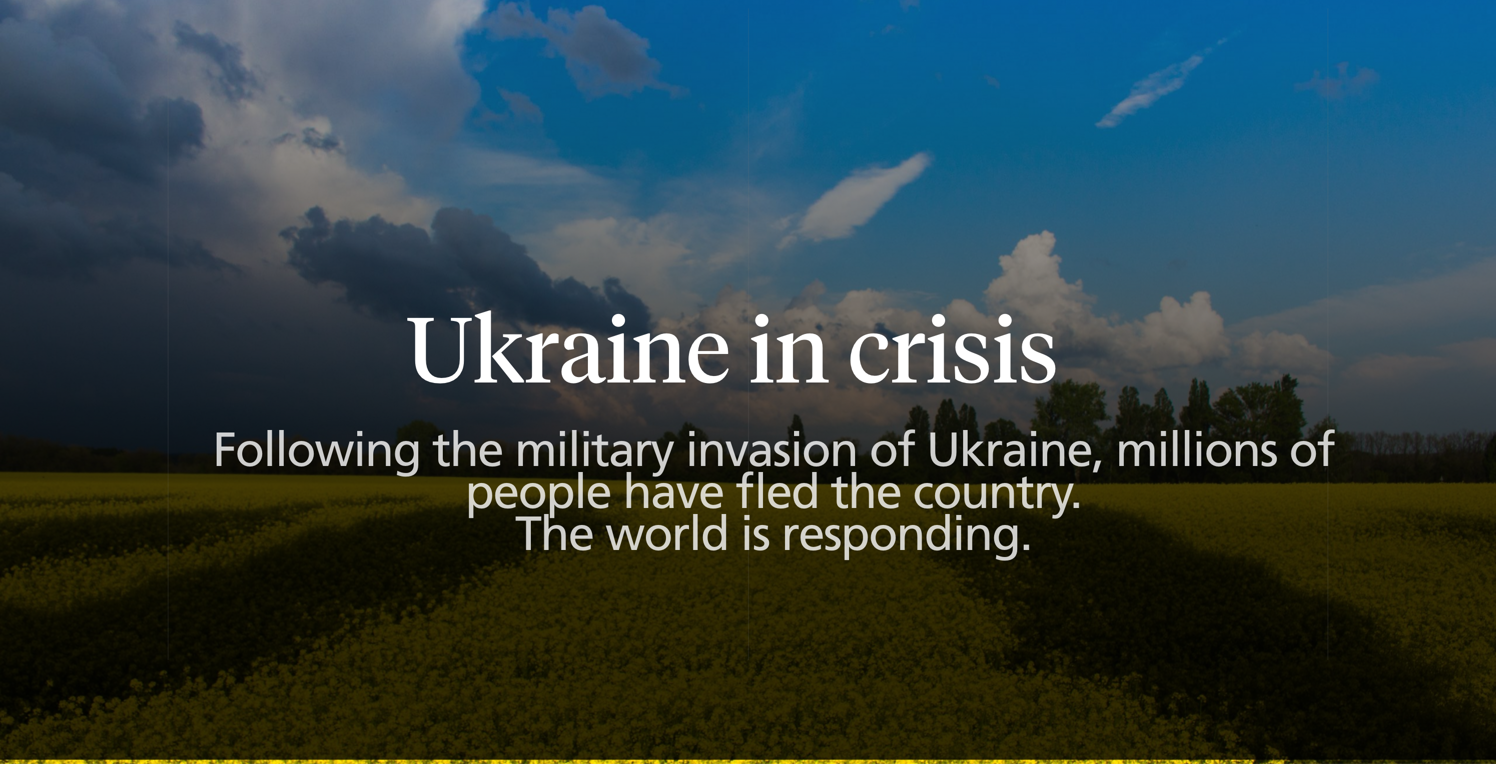 Ukraine in Crisis News Item